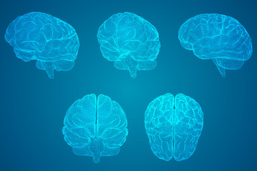 全国科技活动周低碳科普知识竞赛题(小学组)