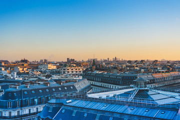 生僻唯美的花名大全