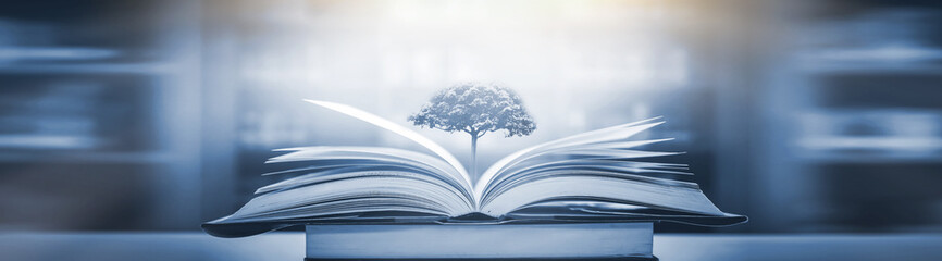 跟花有关的英文名