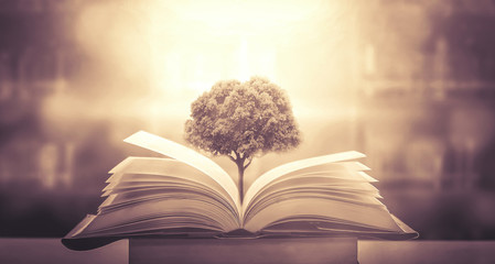 生僻唯美的花名大全