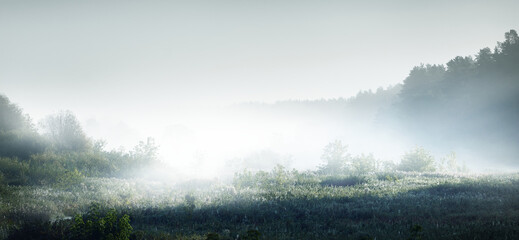 中医食疗常识里的四气和五味是指什么？