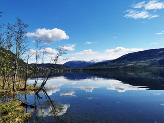 谁能帮我找到关于四年级下简便运算的300道题