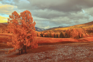 字谜.接音的古诗 歇后语 对联 笑话.和汉字的历史