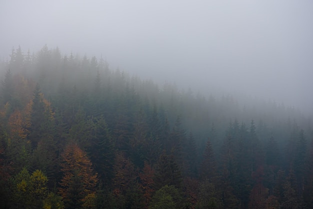 字谜.接音的古诗 歇后语 对联 笑话.和汉字的历史