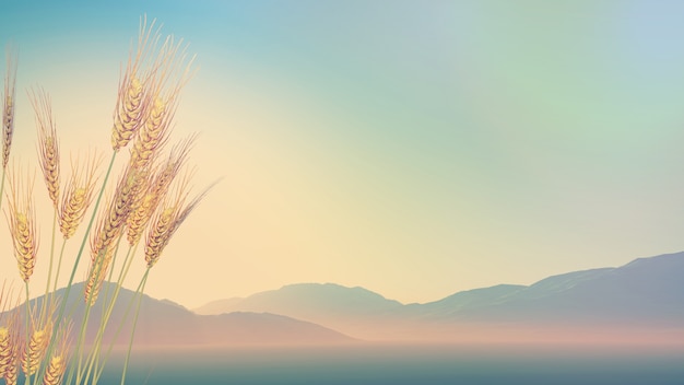 中医食疗常识里的四气和五味是指什么？