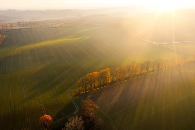 谁能帮我找到关于四年级下简便运算的300道题