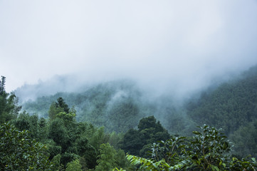 女人梦见桃子什么意思